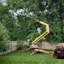 Best Lawn Mowing  in Farmers Branch, TX
