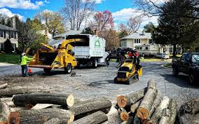 Best Organic Lawn Care Solutions  in Farmers Branch, TX