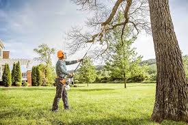 Best Hazardous Tree Removal  in Farmers Branch, TX