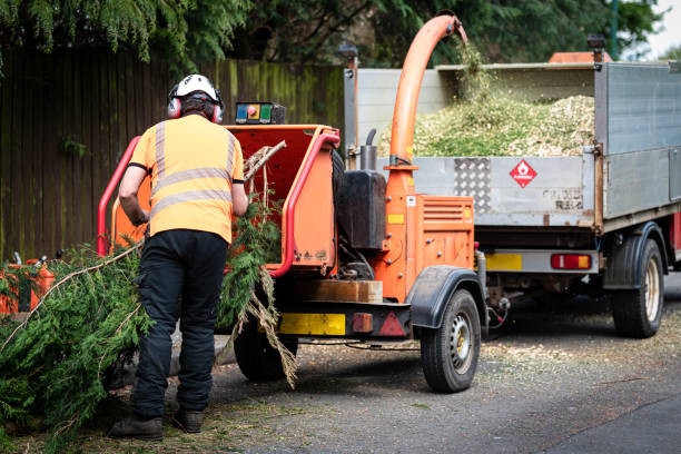 Best Lawn Drainage Solutions  in Farmers Branch, TX