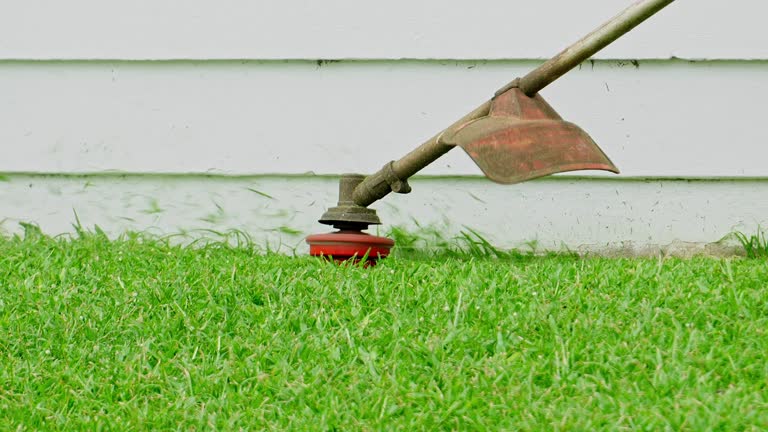 Best Lawn Drainage Solutions  in Farmers Branch, TX